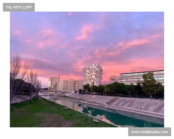 以蒙彼利埃为中心探索南法文化风情与历史遗产的独特魅力